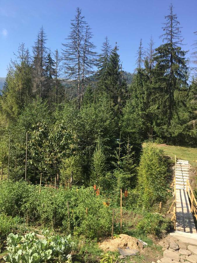فندق Wooddream فولوفيتس المظهر الخارجي الصورة
